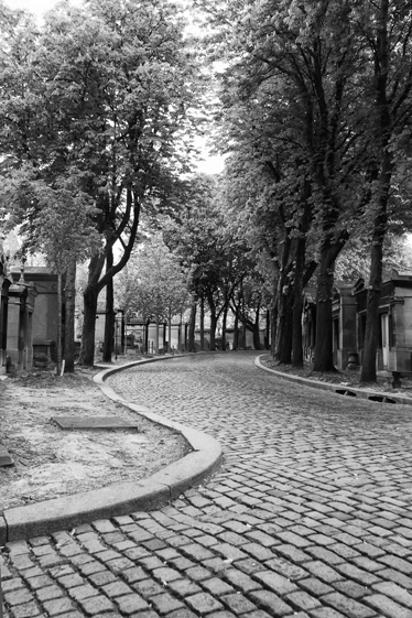 Landscape poster black and white vinyl path - TenStickers