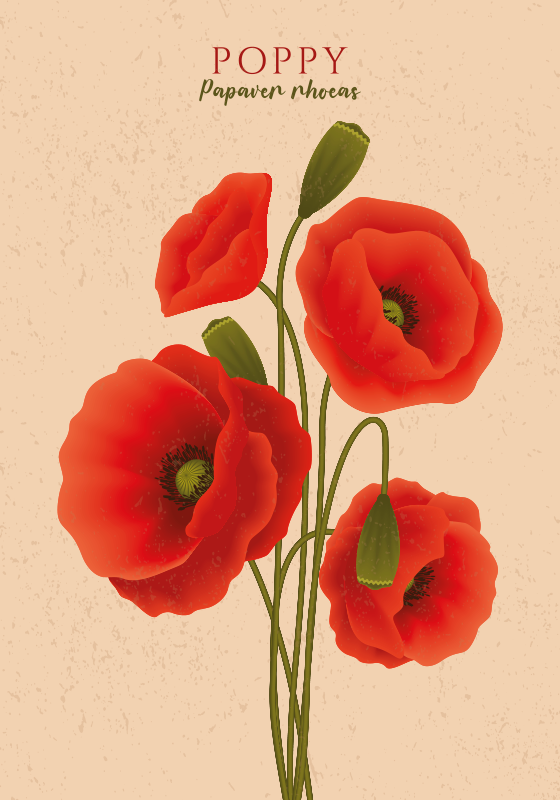 Poppies flower wall poster - TenStickers