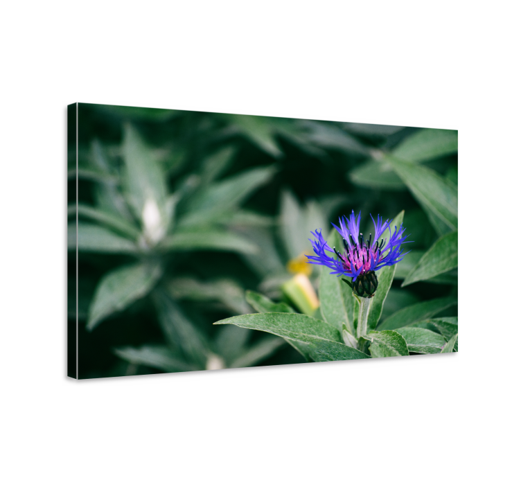 Flowers canvas delicate purple blossom art print - TenStickers