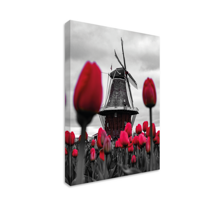 Tulip field with windmill flower canvas - TenStickers