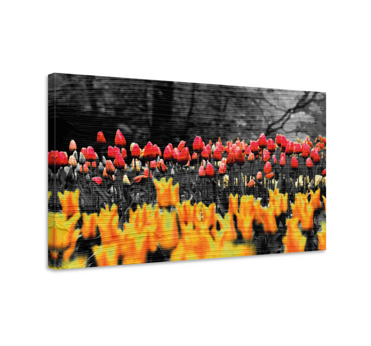 Flowers canvas colorful tulip garden print - TenStickers
