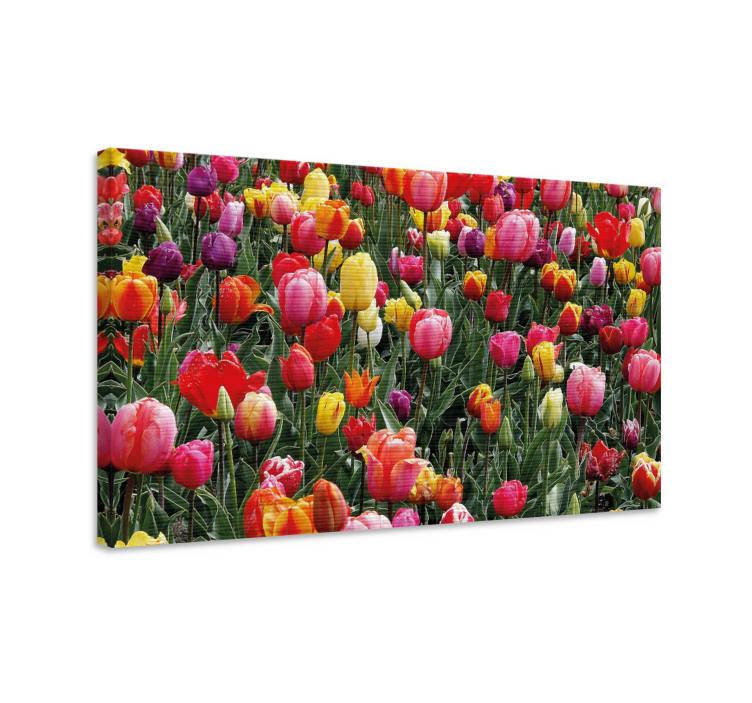 Multiple tulips in a field flower canvas - TenStickers