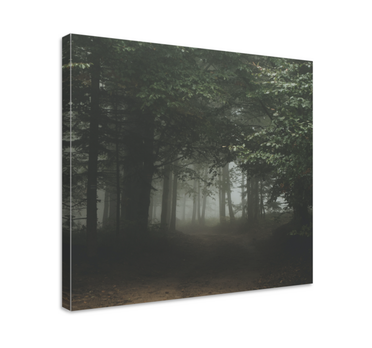 Veiled woodland trail landscape canvas - TenStickers