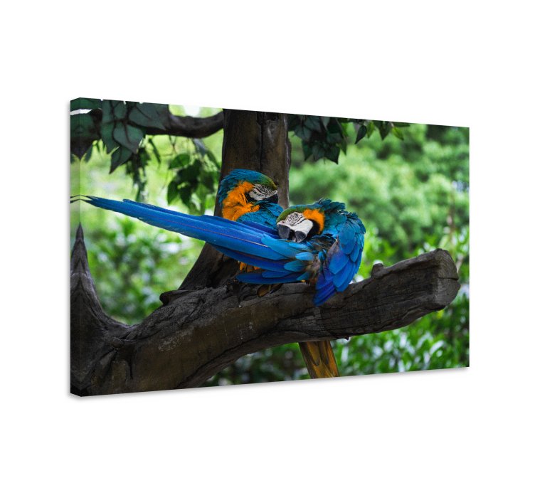 Dog wall art colorful parrots pair - TenStickers