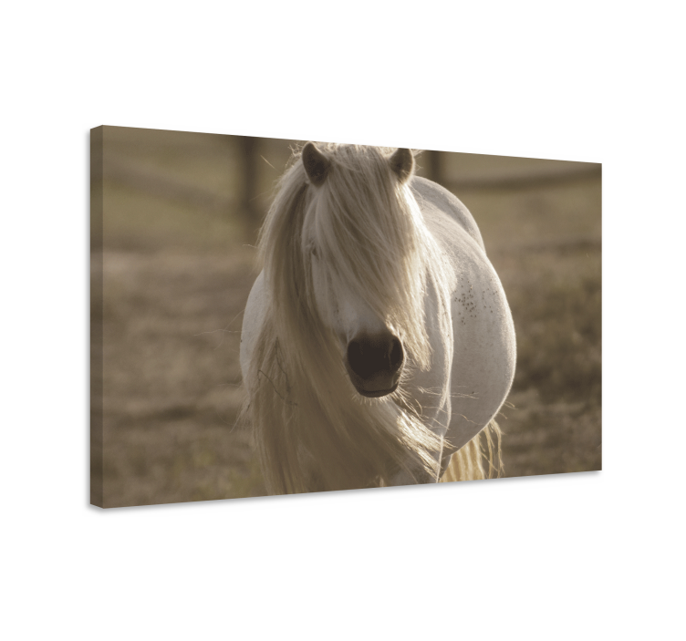Majestic Equine Portrait horse wall art - TenStickers