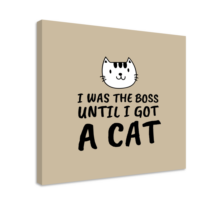 Cat wall art my cat thinks i'm awesome - TenStickers