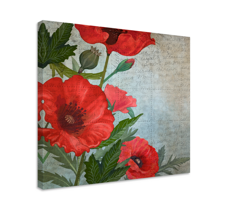 Red and white vintage poppies flower canvas - TenStickers