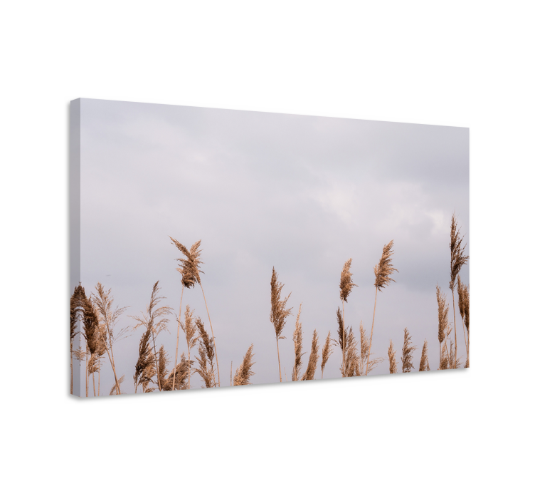 Flowers canvas tall grass stalks art print - TenStickers