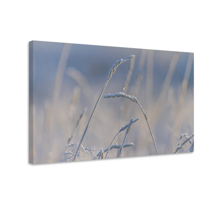 Flowers canvas frosty grass stems art print - TenStickers