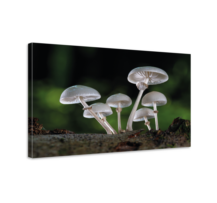 Flowers canvas mushroom forest art - TenStickers