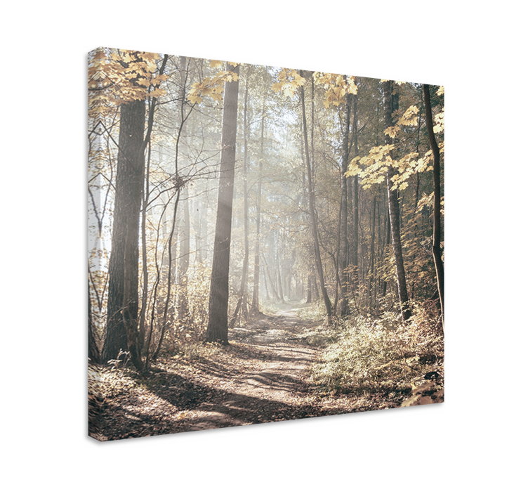 "Nature" sunlight in forest Tree wall canvas - TenStickers