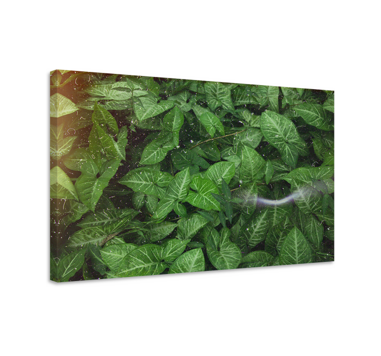 Flowers canvas with lively green leaves - TenStickers