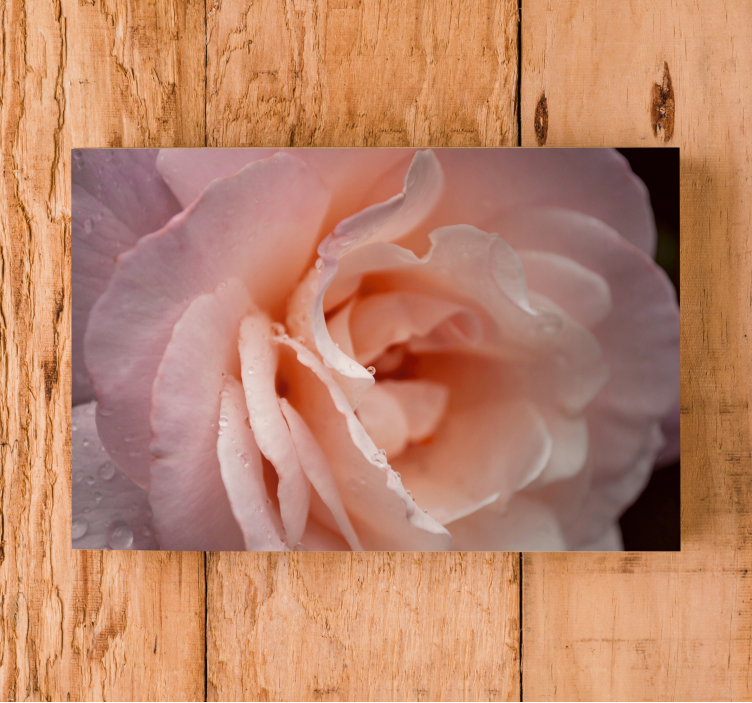 Flowers canvas delicate rose bloom - TenStickers