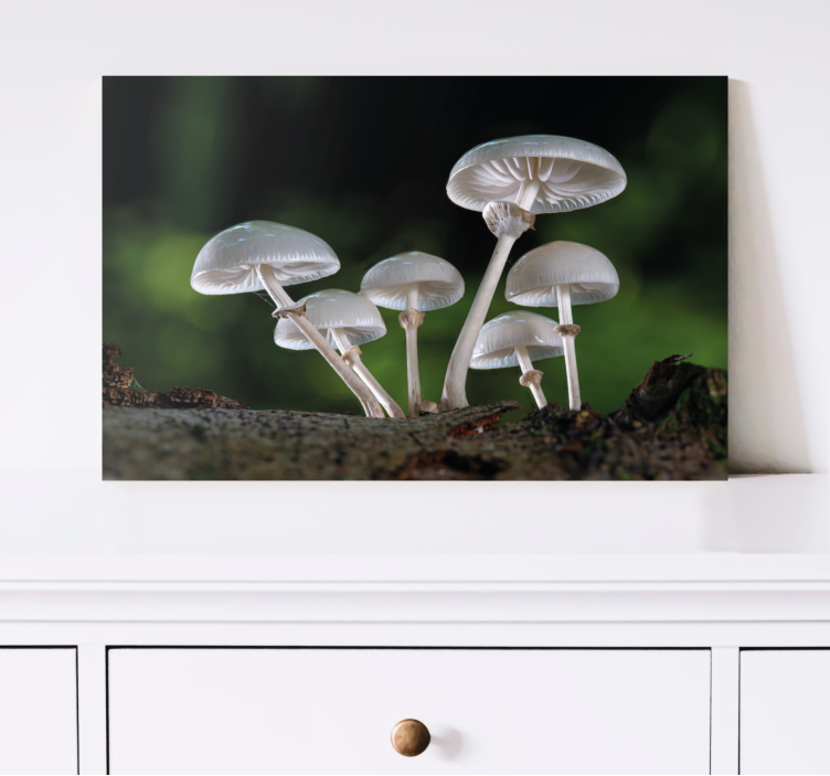 Flowers canvas mushroom forest art - TenStickers