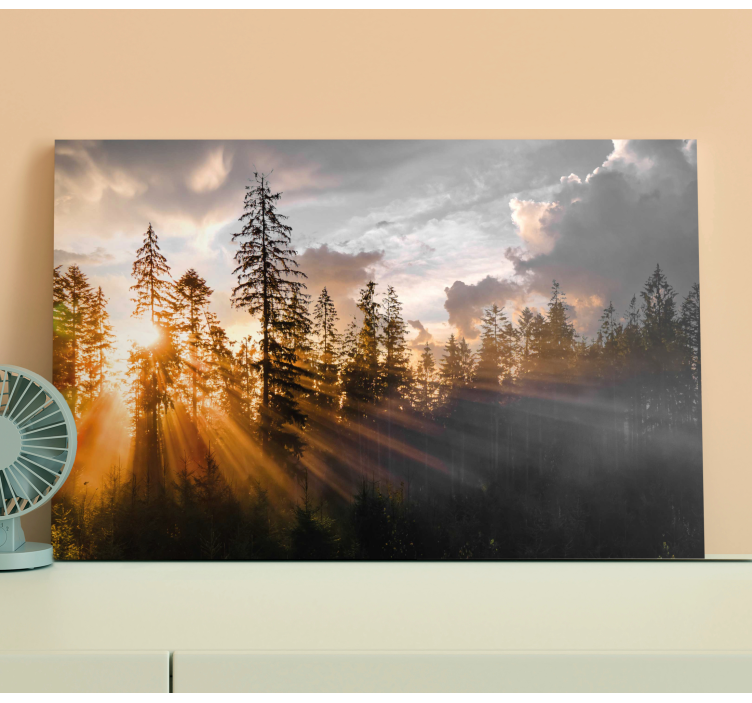 Forest with fog and sun landscape canvas - TenStickers