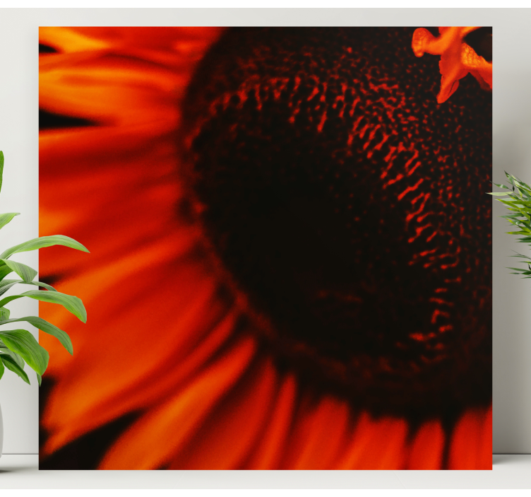 Radiant Sunflower Bloom Flowers  canvas - TenStickers