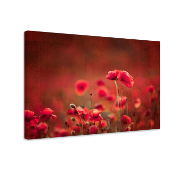 Poppy fields master bedroom canvas wall art - TenStickers
