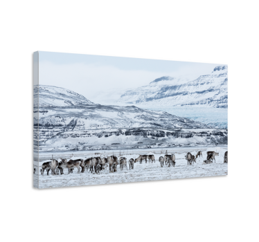 Deer snowy landscape Stag canvas prints - TenStickers