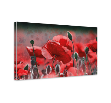 Red and green poppy field floral canvas - TenStickers