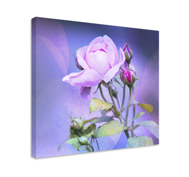 Pink garden roses floral canvas - TenStickers
