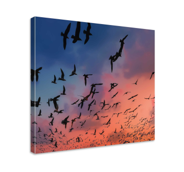Birds flying in the sky floral canvas - TenStickers