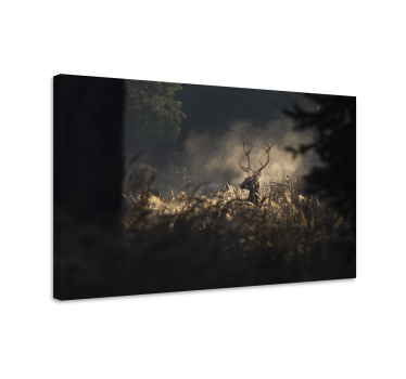 Stag canvas regal stag outline - TenStickers