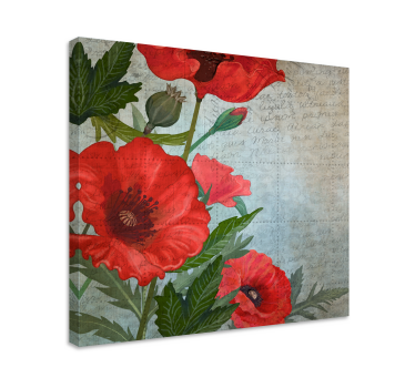 Red and white vintage poppies floral canvas - TenStickers