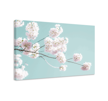 Elegant and feminine white flower floral canvas - TenStickers