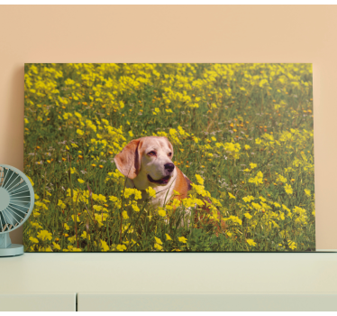 Dog wall art happy dog outdoors - TenStickers