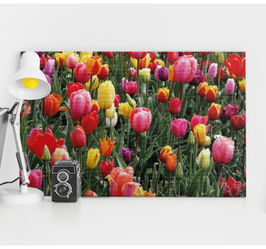 Multiple tulips in a field floral canvas - TenStickers