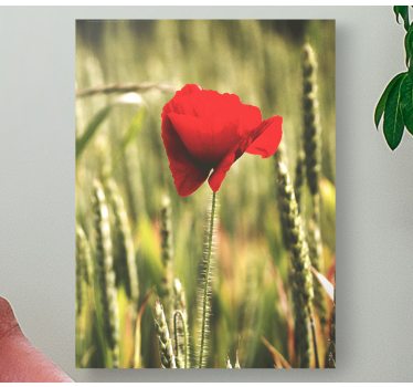 Single poppy with wheat  floral canvas - TenStickers
