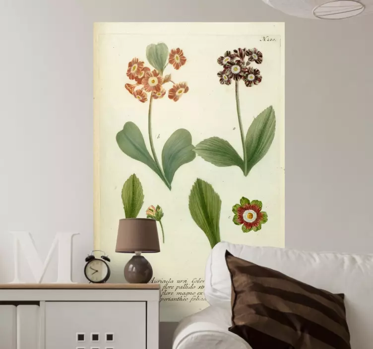 Auricula Flower Illustration Sticker - TenStickers