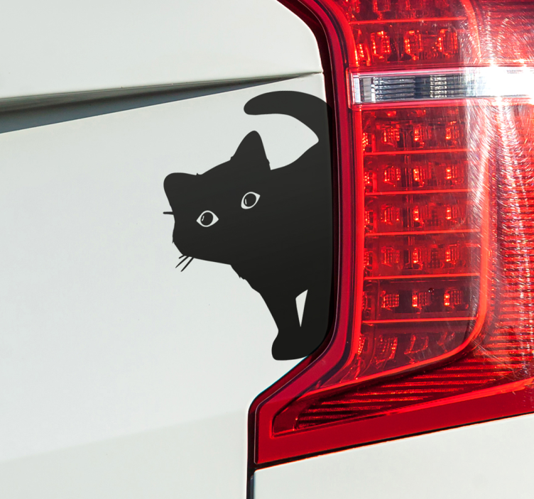Vehicle sticker curious black cat - TenStickers