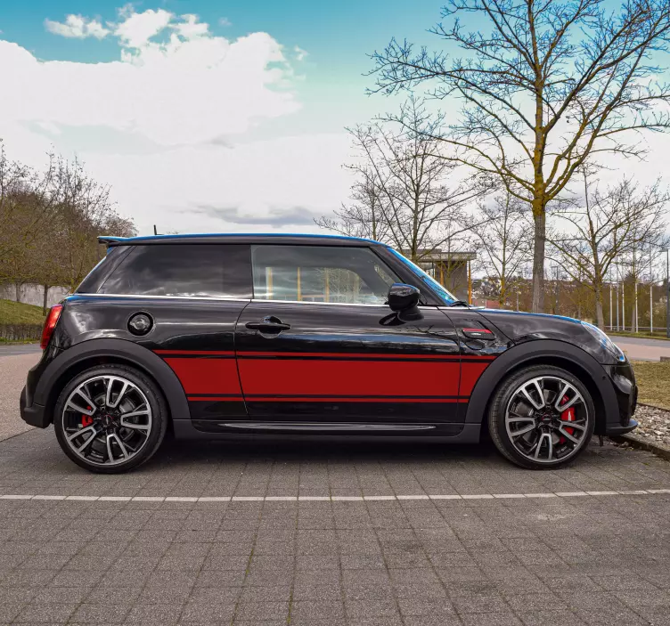 Custom rally stripe car sticker - TenStickers