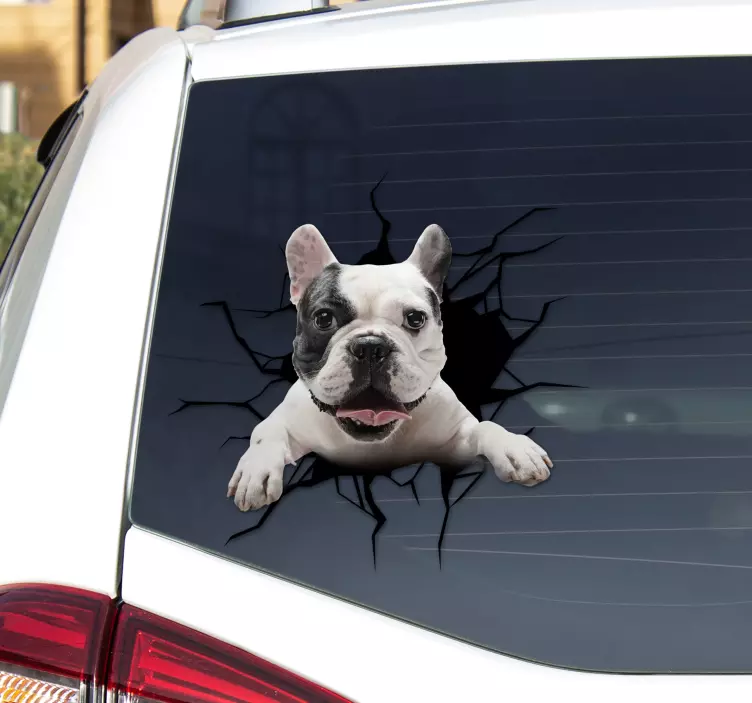 Dog peeking through broken glass car sticker - TenStickers