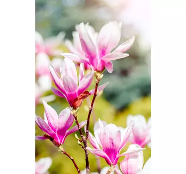 Magnolia flowers decoration window decal - TenStickers