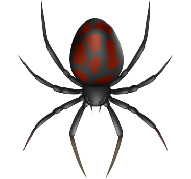 3d realistic spider vehicle sticker - TenStickers
