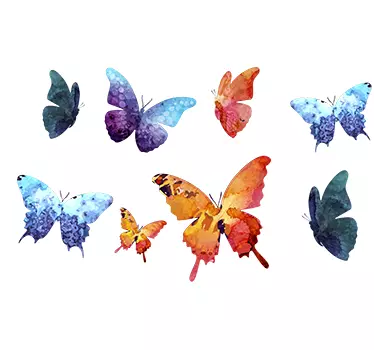 Set of colorful butterfly wall sticker - TenStickers