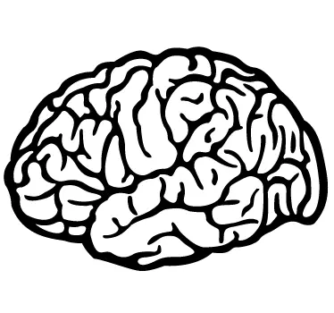 Brain Drawing Decorative Sticker - TenStickers