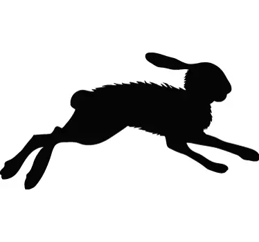 Rabbit Car Decal - TenStickers