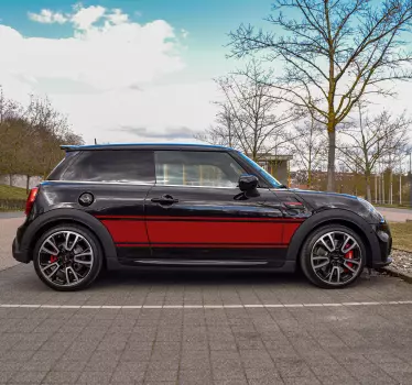 Custom rally stripe car decal - TenStickers