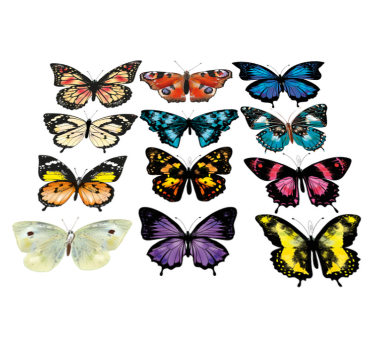 Animal vinyl rug butterfly design - TenStickers