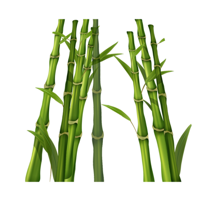 Vinyl rug bathroom bamboo pattern - TenStickers