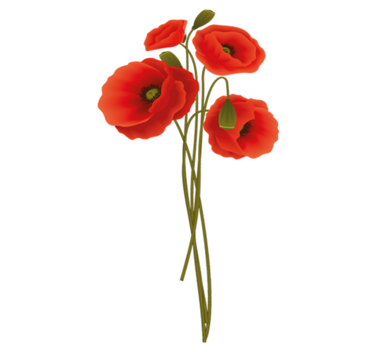 Vinyl rug bathroom delicate poppies design - TenStickers