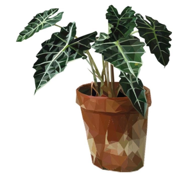 Vinyl rug flowers geometric plant pot - TenStickers