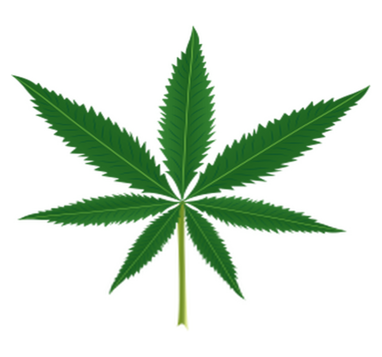 Vinyl rug flowers cannabis leaf - TenStickers