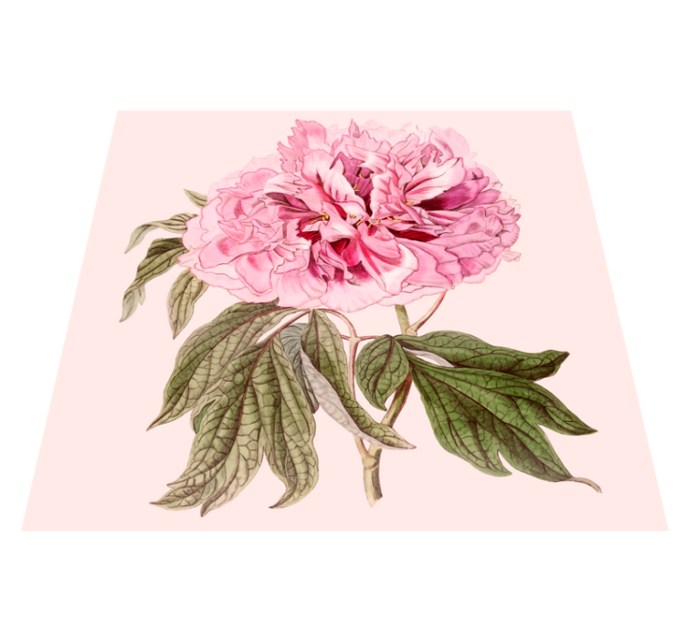 Peony white rectangular floral rug - TenStickers