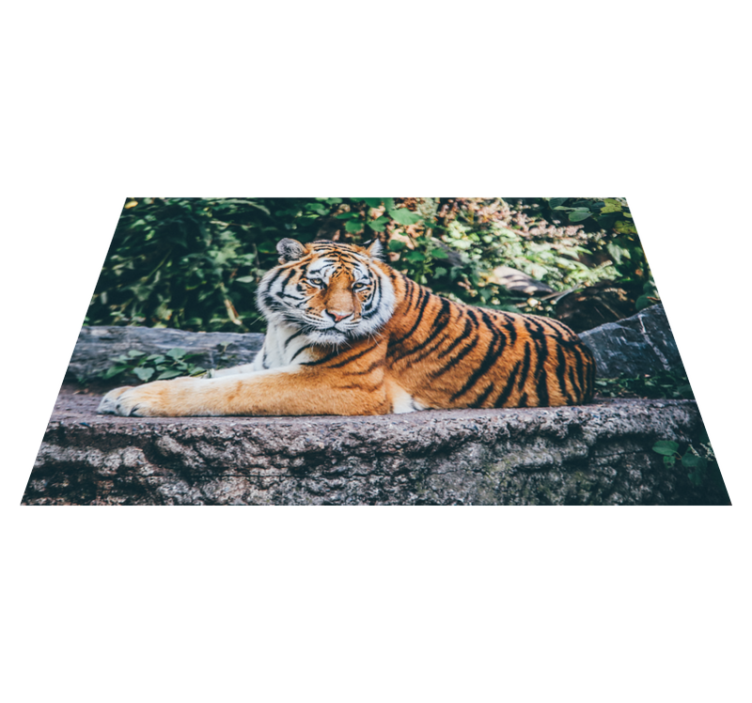 Majestic tiger lying animal vinyl rug - TenStickers
