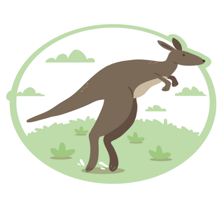 Kangaroo Leap kids vinyl rug - TenStickers