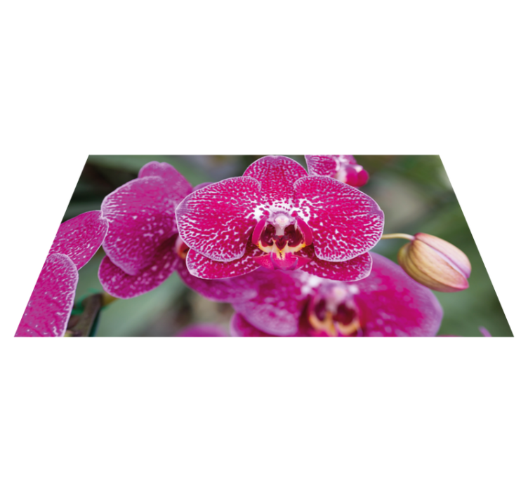 Vibrant Orchid Blooms vinyl rug flowers - TenStickers